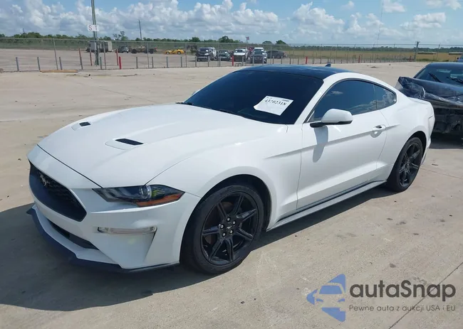 1FA6P8TH6L5184279: 43202318