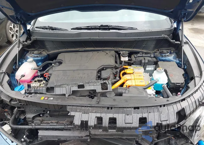 KNDCS3LF8P5054085: 43202334