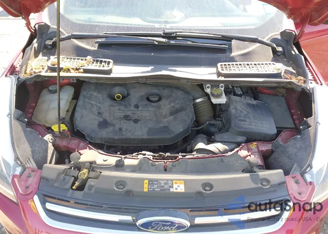 1FMCU9J96DUD62993: 43201684