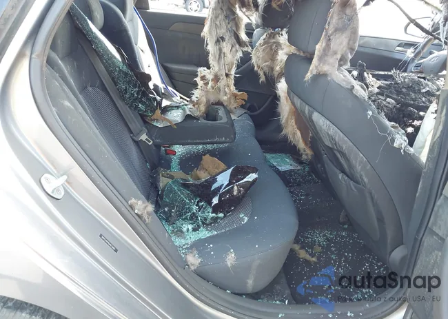 5NPE24AF8JH613482: 43201766