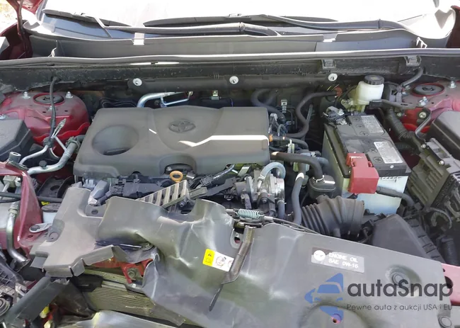 2T3P1RFV5NW314524: 43203129