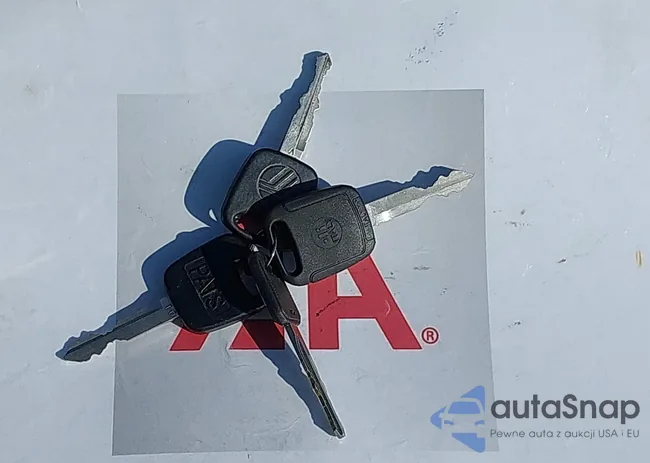 1ZWFT61L8Y5634130: 43203130