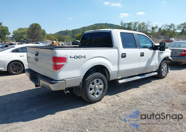 1FTFW1ET9DFD16579: 43202629