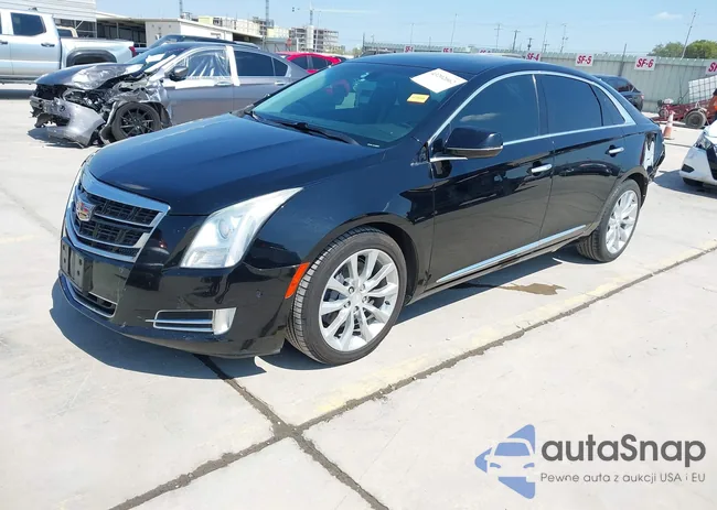 2G61M5S36G9183937: 43202662