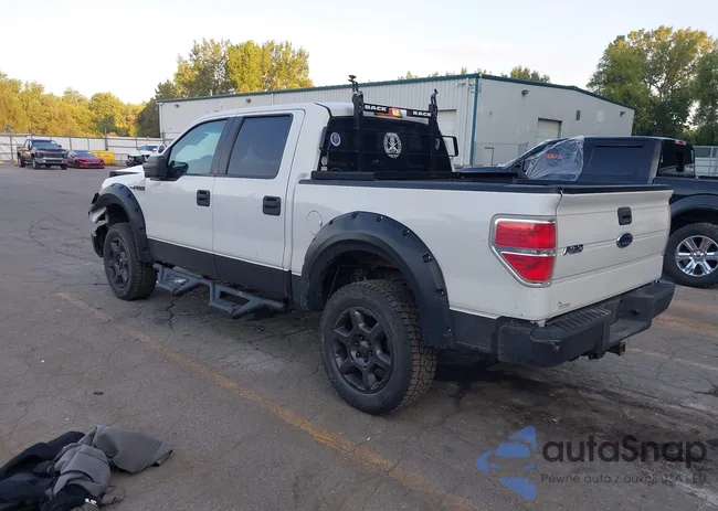 1FTPW14V09FB36485: 43202775