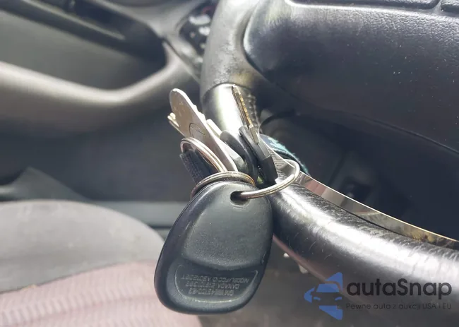 2G1FP22G7W2149596: 43202942