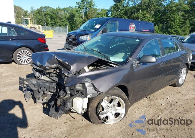 1G1ZB5E12BF106491: 43203985