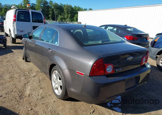 1G1ZB5E12BF106491: 43203985