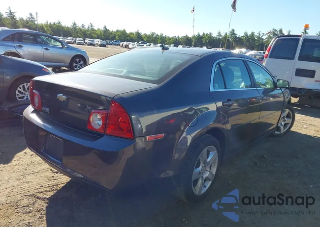 1G1ZB5E12BF106491: 43203985