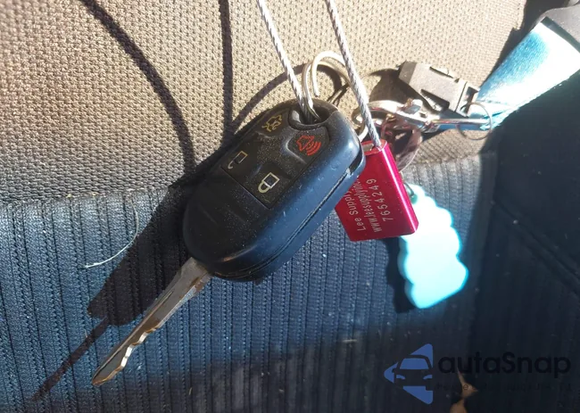 1ZVBP8AM4C5245151: 43204436