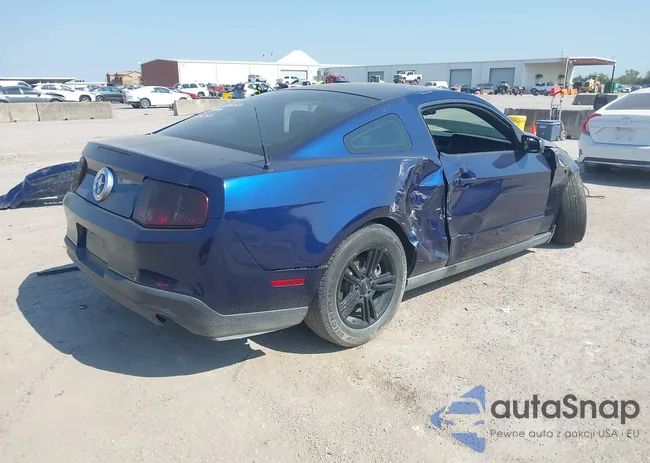 1ZVBP8AM4C5245151: 43204436