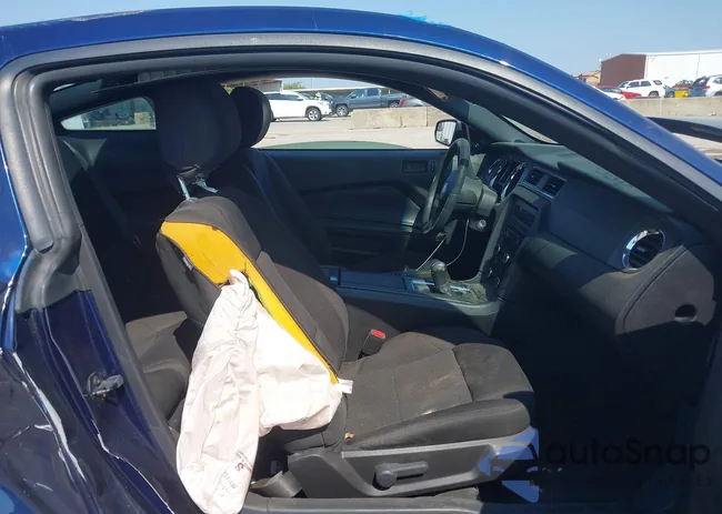 1ZVBP8AM4C5245151: 43204436