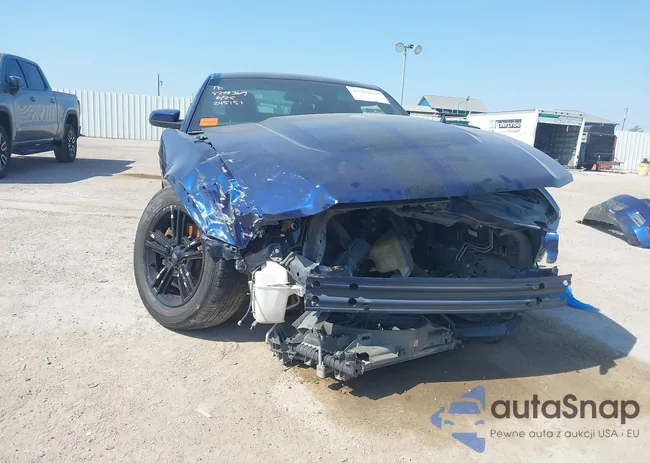 1ZVBP8AM4C5245151: 43204436