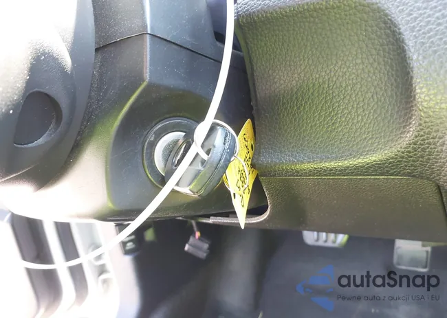 1ZVBP8AM4D5228853: 43204505