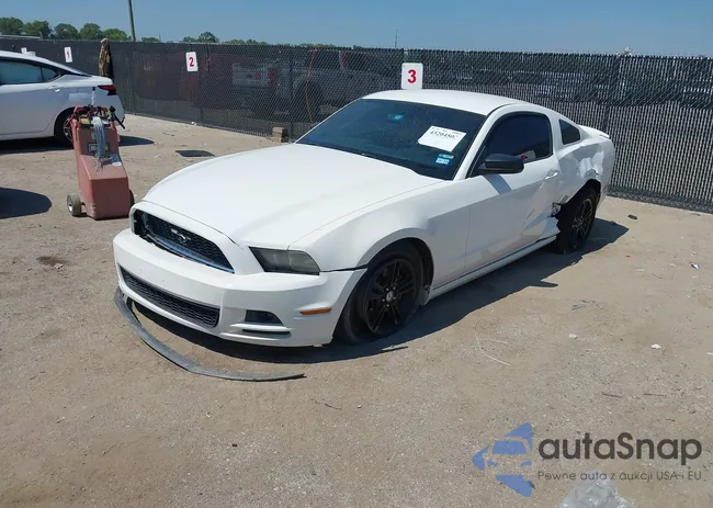 1ZVBP8AM4D5228853: 43204505