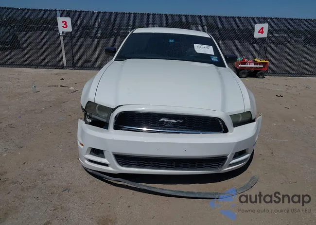 1ZVBP8AM4D5228853: 43204505