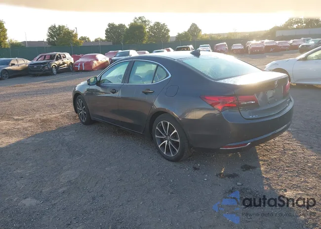 19UUB3F59FA004925: 43203761