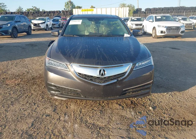 19UUB3F59FA004925: 43203761