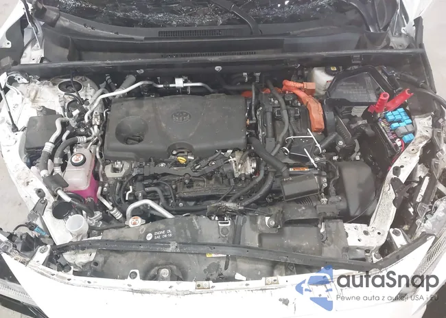 JTMAB3FV8PD116195: 43203907