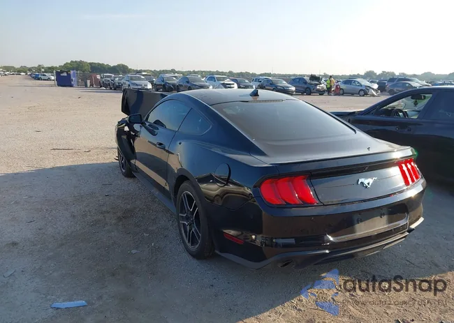 1FA6P8TH8L5167290: 43205034