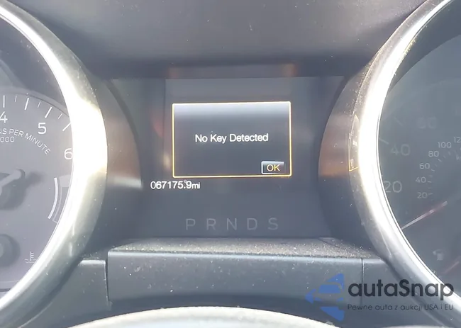 1FA6P8TH8L5167290: 43205034