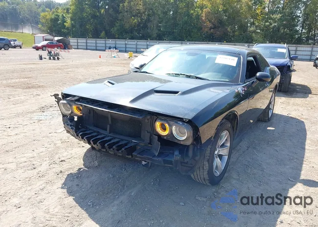 2C3CDZAG7MH538766: 43205148