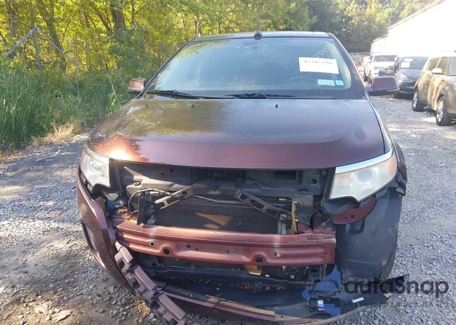 2FMDK4KC6CBA29558: 43205296