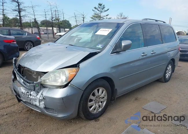 5FNRL38468B066797: 43205976