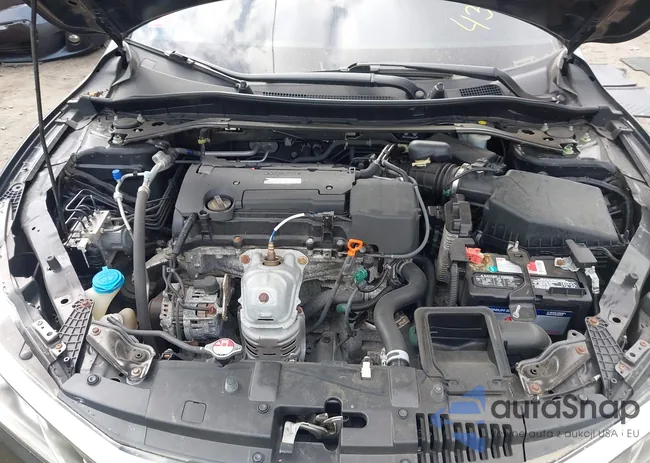 1HGCR2F16HA204775: 43206165