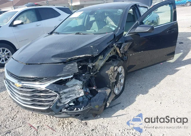 1G1ZD5ST9LF068503: 43206275