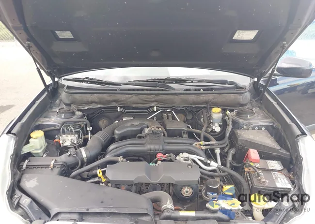 4S4BRCKCXD3307005: 43206480