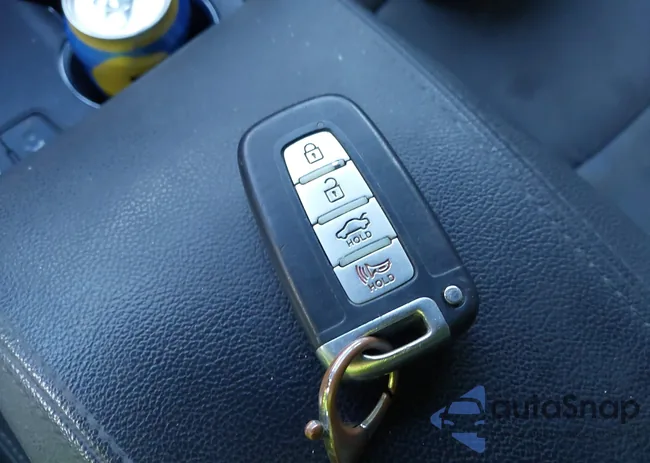 5NPEC4AC1DH766048: 43206519