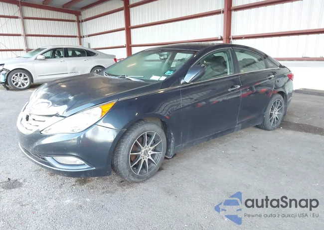 5NPEC4AC1DH766048: 43206519