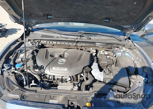 JM1GL1TY0J1335297: 43206529