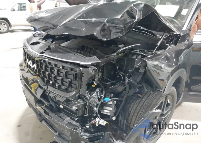 5XYP5DGC0RG520309: 43206531