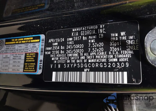 5XYP5DGC0RG520309: 43206531