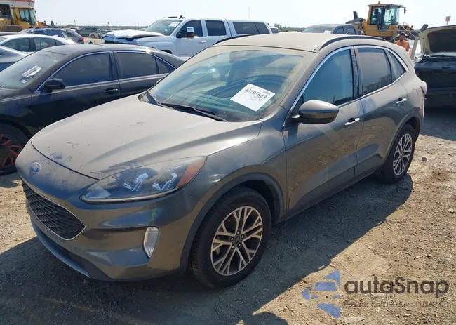 1FMCU9H62MUA65148: 43205683