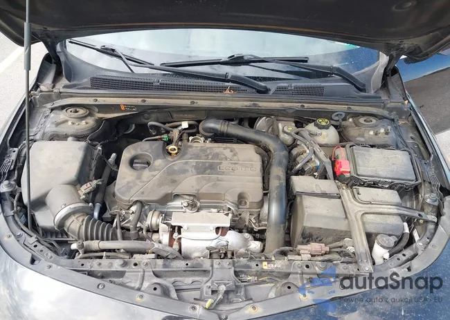 1G1ZG5ST0MF059472: 43205784