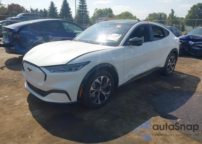 3FMTK3SS2PMA31907: 43207517