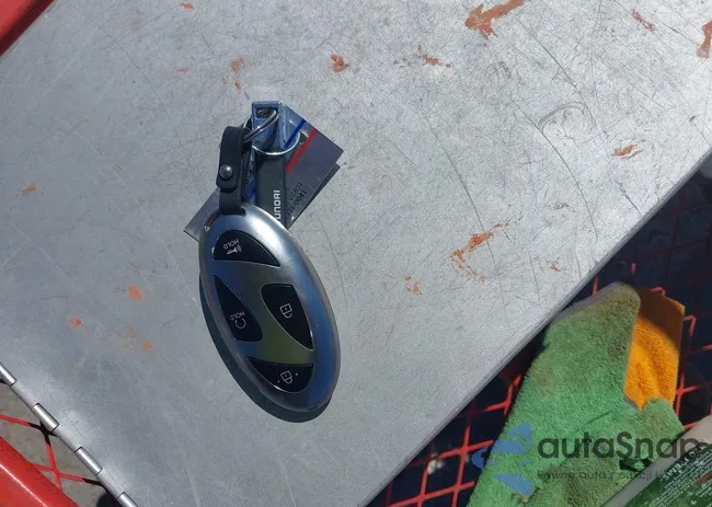 5NMP3DG16RH006541: 43206711