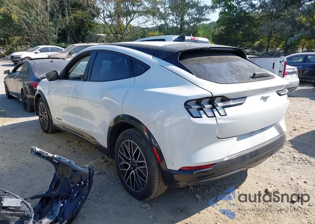 3FMTK3SU9RMA04319: 43209046