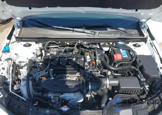 2HGFE1F70PH304569: 43208862