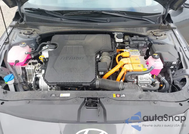 KMHLN4DJ1RU116639: 43210192