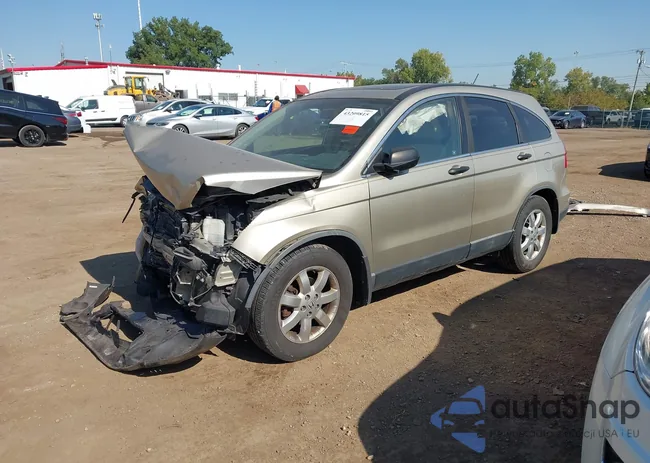 5J6RE48599L018146: 43209815