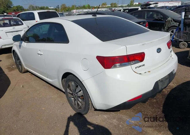 KNAFU6A25D5709384: 43211181