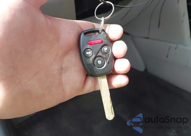 1HGCP2F86AA066177: 43211914