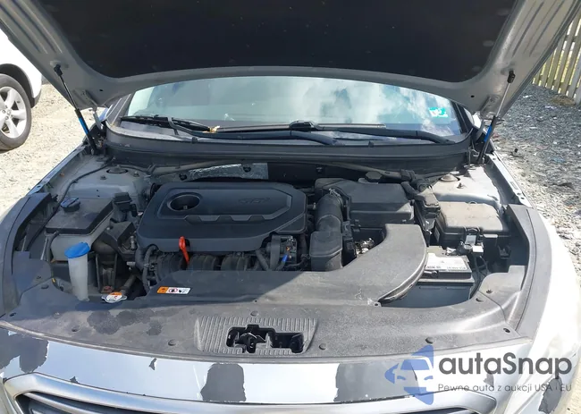 5NPE24AF9HH534669: 43213204