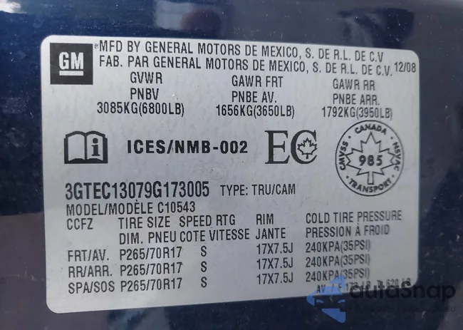 3GTEC13079G173005: 43213265