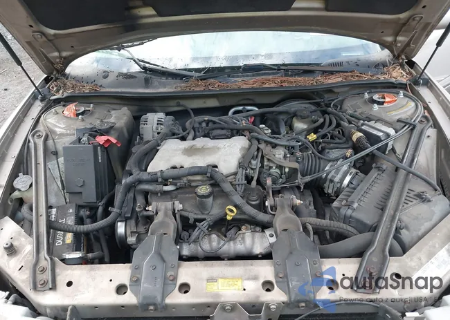 2G4WS52J311120500: 43213325