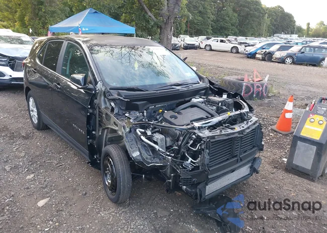 3GNAXUEG9RL368469: 43212704